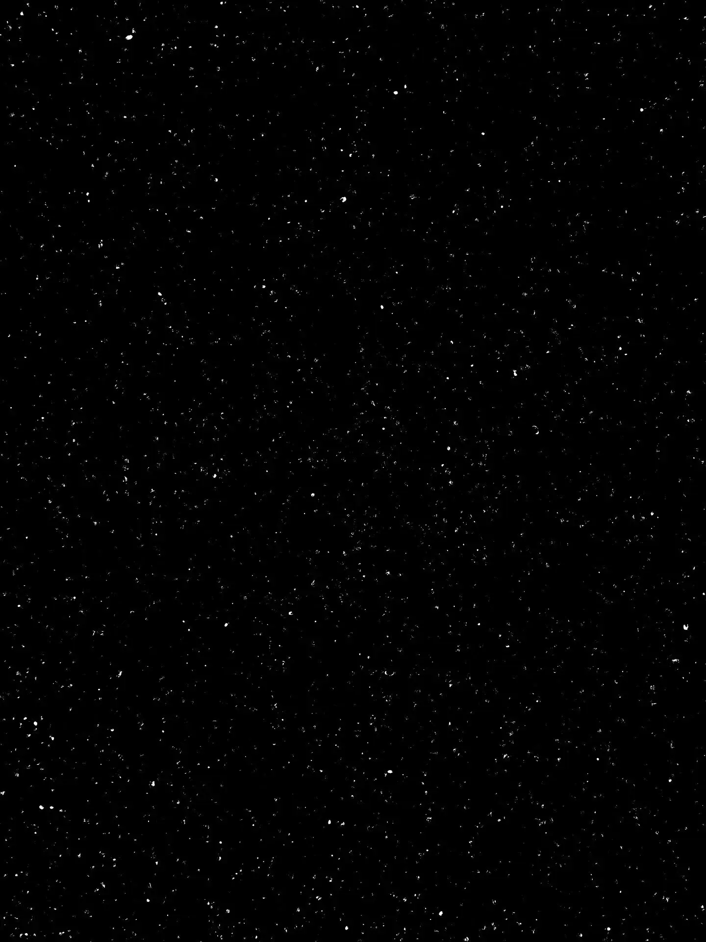stars